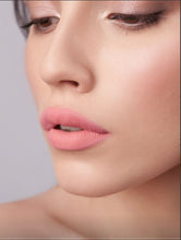 Load image into Gallery viewer, Aden Professional Liquid Lipstick 03 Rosie Brown-/ 4 ml
